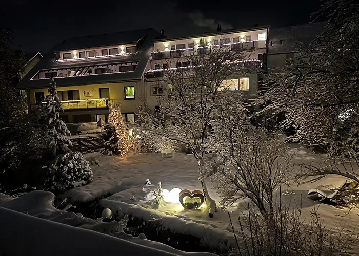 Hotel Naturboutique Rauszeit Willingen (Upland)